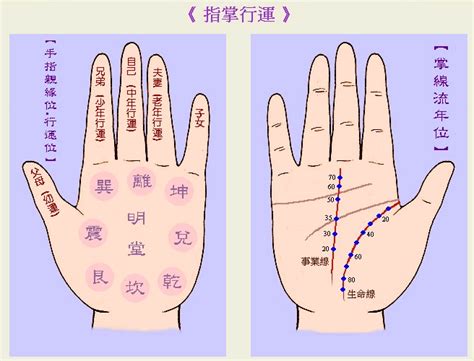 手指手相|手相基础：几种重要的手纹图解